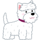 natsumisaito@github