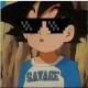 gokufoo