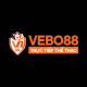 Avatar for VEBO TV