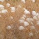 Assets.github.com%2fimages%2fgravatars%2fgravatar-140