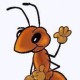Avatar von Roman