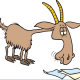 Avatar BOK