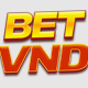 Avatar for bet vnd