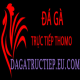 Avatar for Đá Gà Trực Tiếp