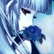 elly weiss Avatar