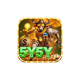5y5yorg