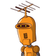 guest