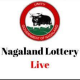 Avatar for Nagaland State Lottery