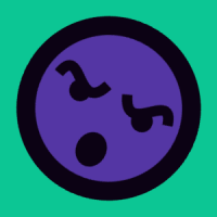 rockyinteractive