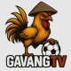 Фотография gavangtvvad