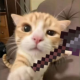atsauban