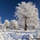 پروفایل مهدی مداح علی