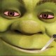 shrek42