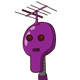 guest