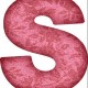 Avatar for Sallie Jackson