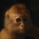 Picture of Jan Ris