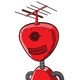 guest