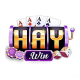 haywin2info