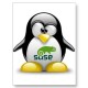 mastersuse