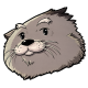 dotSalsaCat