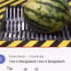 jobarbiden46