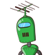 guest