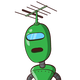 guest