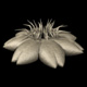 render66