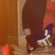 Avatar de Chris_Waltz