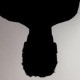 Giorgio Cat profile avatar