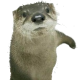 sabertooth