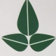 Seceoninc