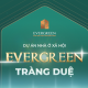 Avatar for Evergreen Tràng Duệ