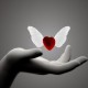 h.jaza's picture