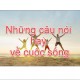 Avatar for Những câu nói hay về cuộc sống