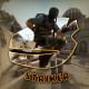 KingStriker/FreedomSimmer