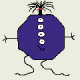 Gravatar Image