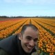 uswebpro's picture
