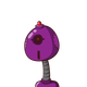 guest