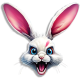 crazyrabbit0