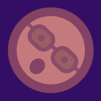 ascharlie65