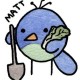Matt