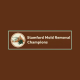 Avatar for Stamford Mold Removal Champions