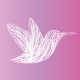 Avatar for Lavender House Care