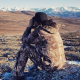 akbackcountry's picture