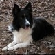 datacreek's picture