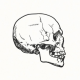 Avatar for njncalub