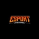 Avatar for Esports Việt Nam