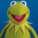 Avatar for SASSI SYSTEMS