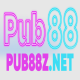 Avatar for PUB88